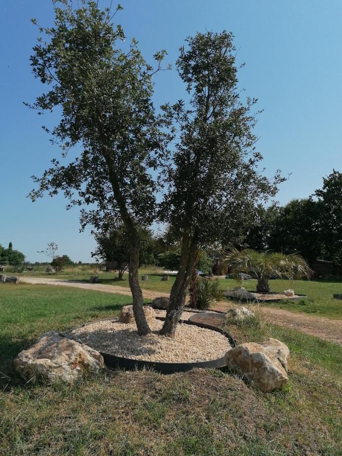 מלון Commequiers Belge'Attitude Maison D'Hotes מראה חיצוני תמונה